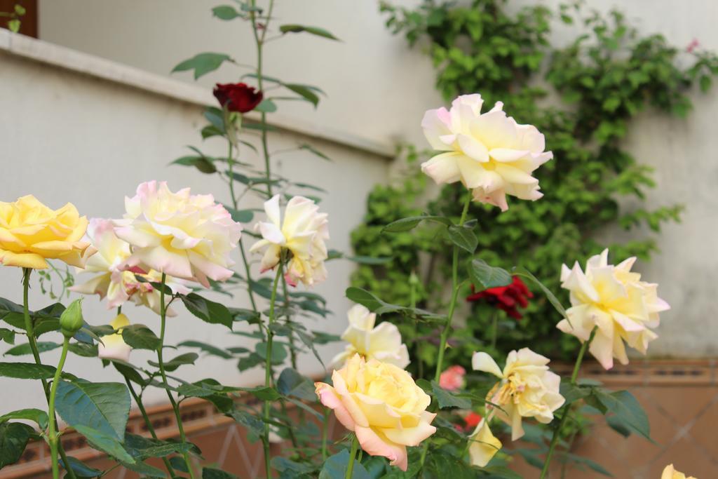 Apartamento Jardin De La Ribera. Kordoba Bagian luar foto